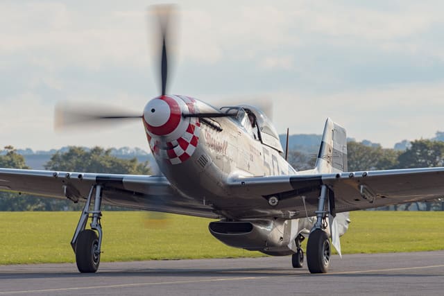  - Warbird