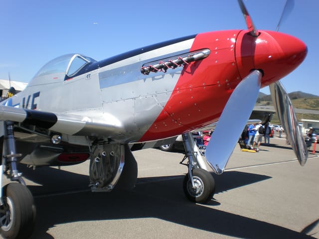  - Warbird