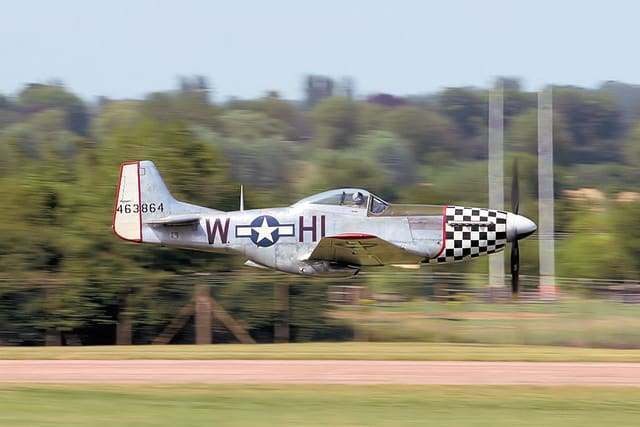  - Warbird