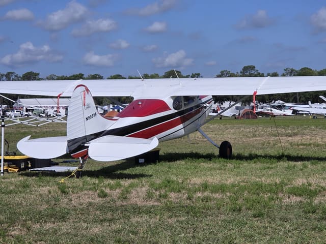 N9989A - Cessna 170A