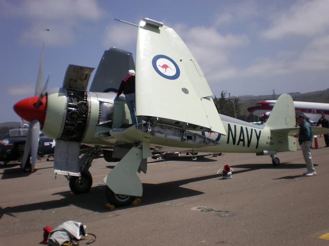  - Warbird