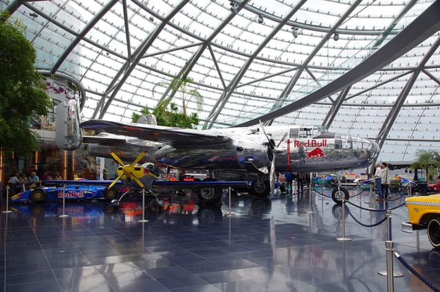 N6123C - Warbird