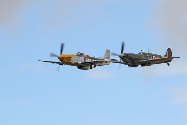  - Warbird