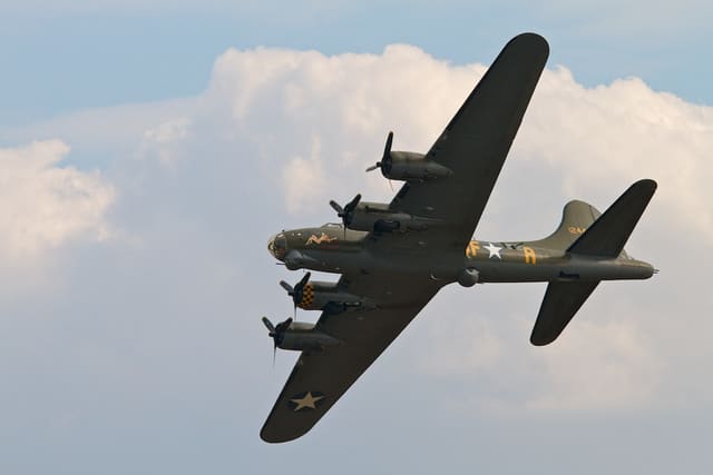  - Warbird