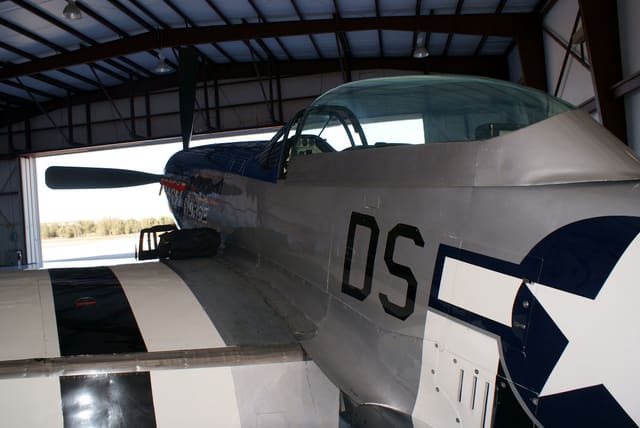  - Warbird