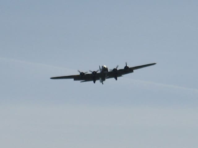  - Warbird