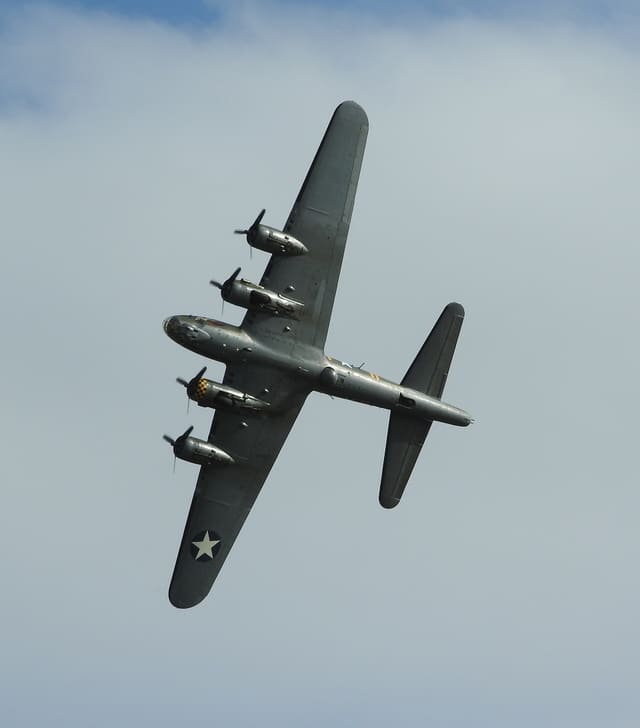  - Warbird