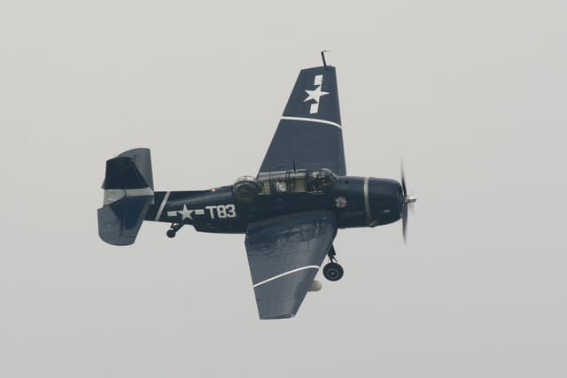 N81865 - Single-engine aircraft
