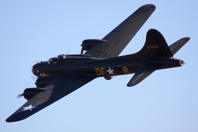 - Warbird