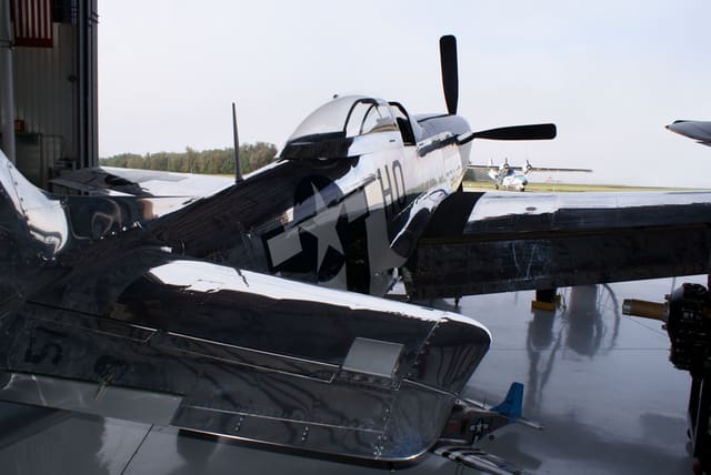  - Warbird