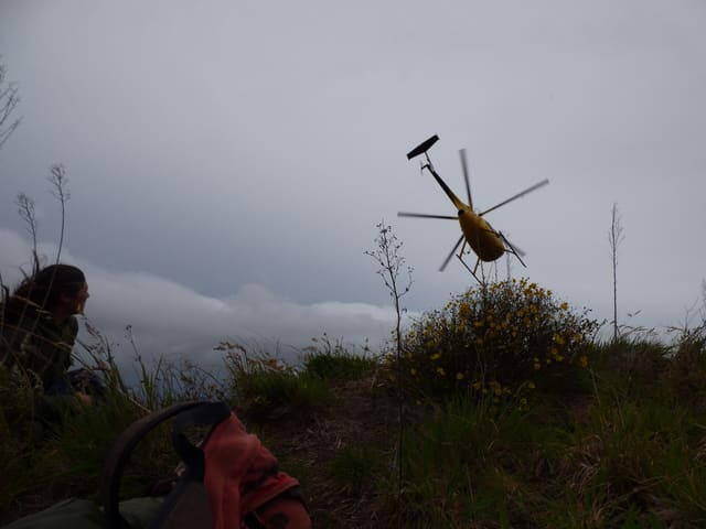 N809WA - Helicopter
