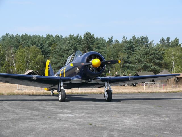 N13FY - Warbird