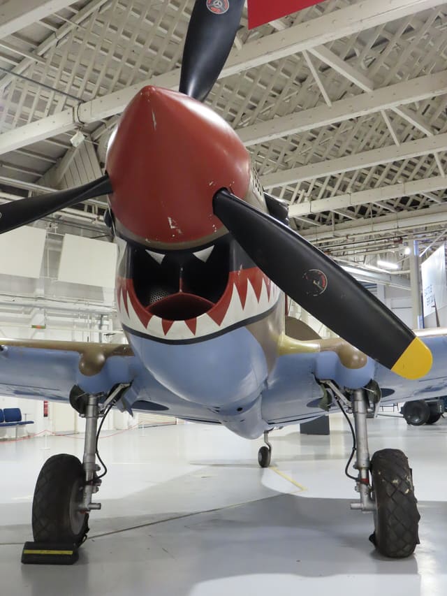  - Warbird