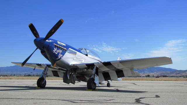  — Warbird