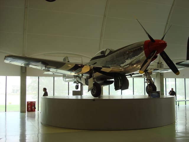  - Warbird