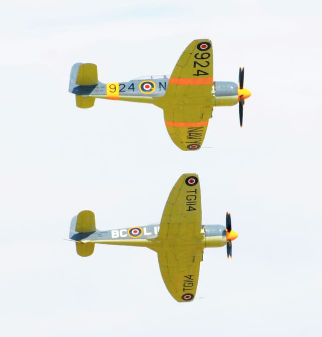 N924G - Warbird