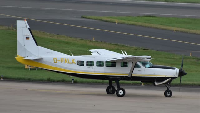 D-FALK - Cessna