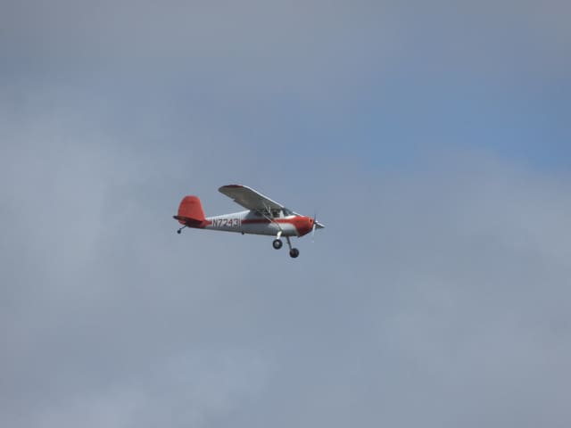 N72431 - Single-engine aircraft