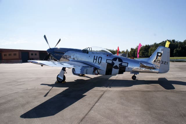  - Warbird