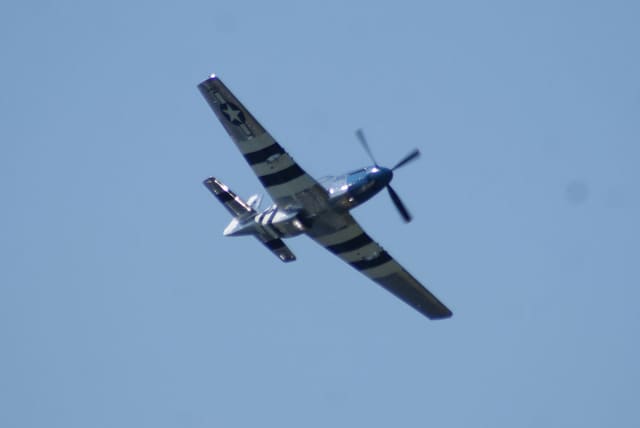  - Warbird