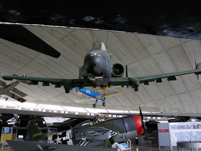  - Warbird