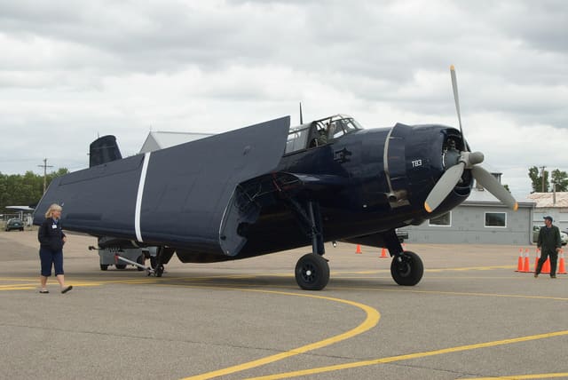 N81865 - Warbird