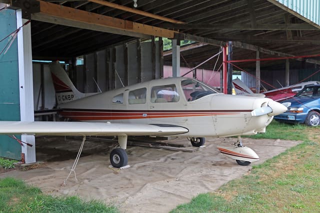 C-GNBP - Piper