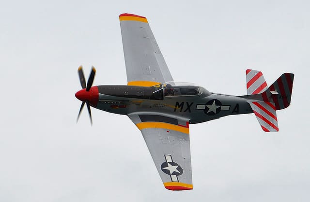  — Warbird