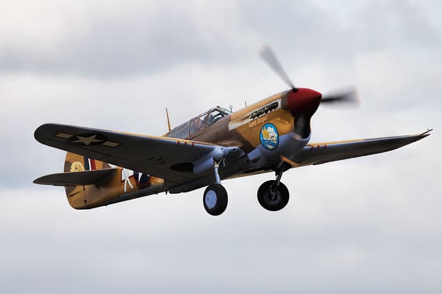  - Warbird