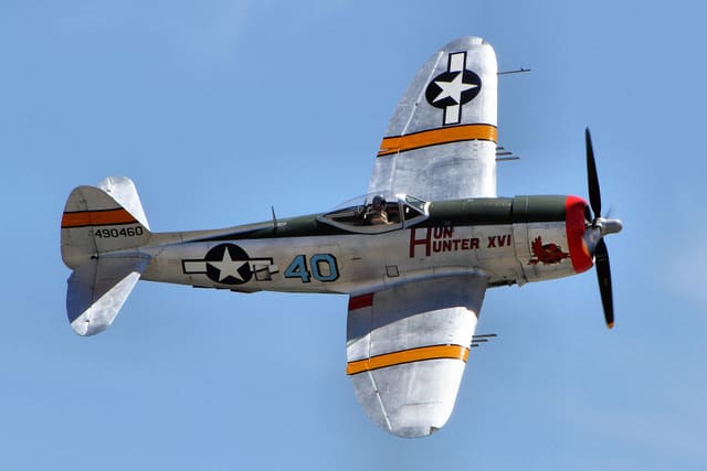  - Warbird