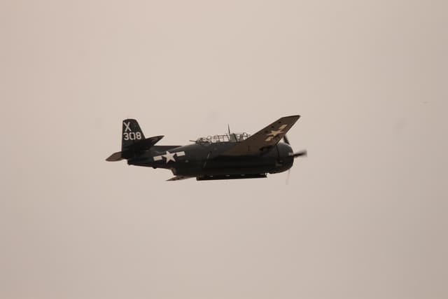  - Warbird