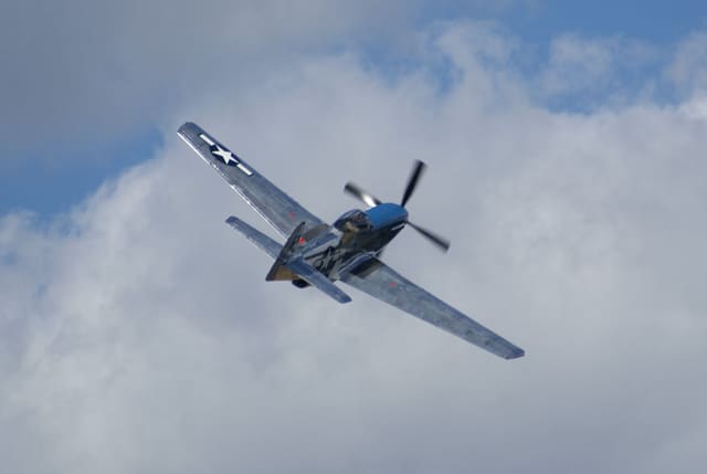  - Warbird