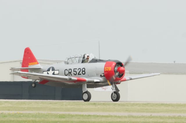 N85696 - Warbird