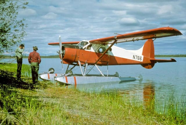 N766 - Single-engine aircraft