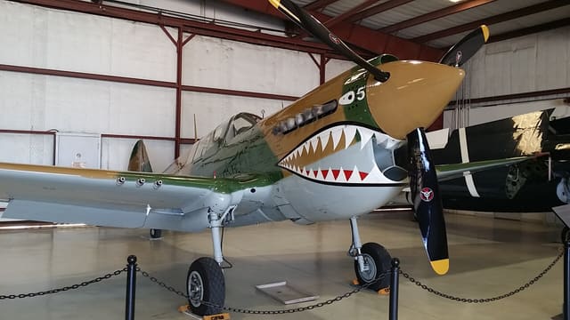  - Warbird