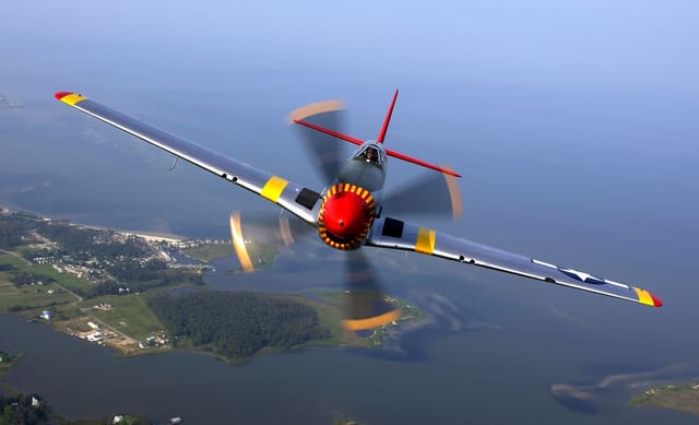  - Warbird