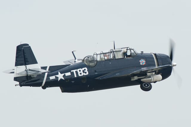 N81865 - Warbird