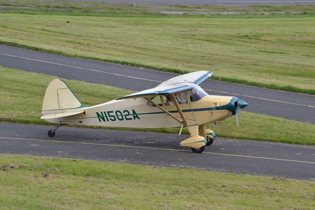 N1502A - Piper