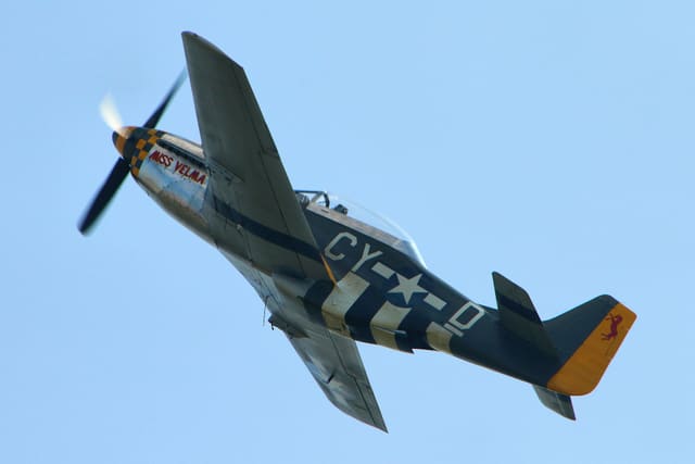 N251RJ - Warbird