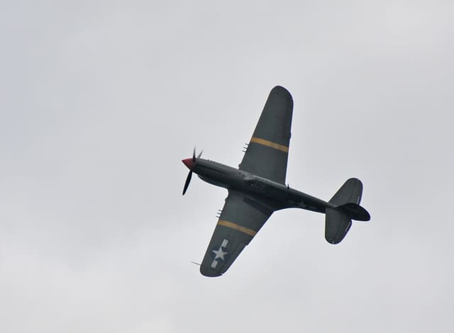  - Warbird