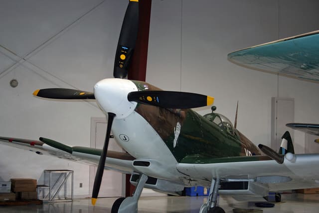  - Warbird