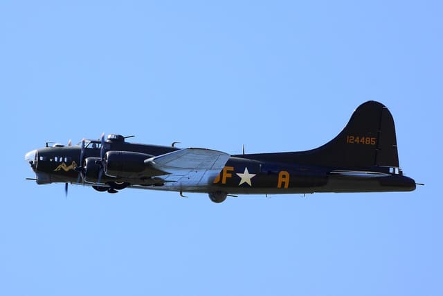  - Warbird