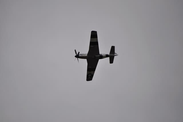  — Warbird