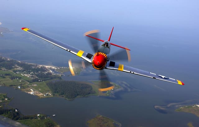  - Warbird