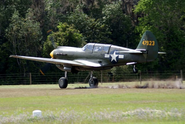  - Warbird