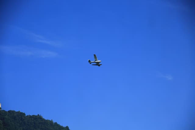 N206BJ - Single-engine aircraft