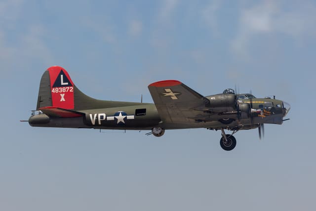  - Warbird