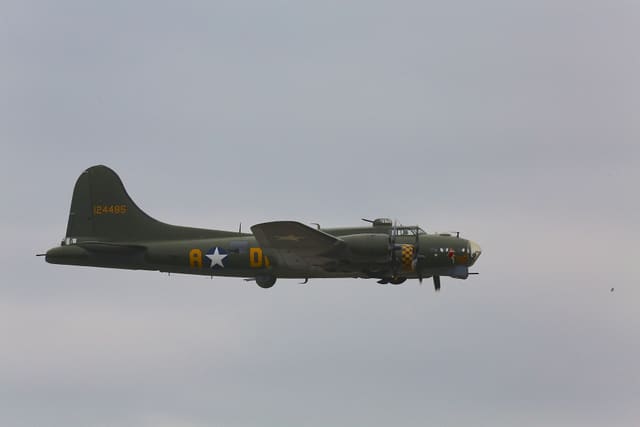  - Warbird
