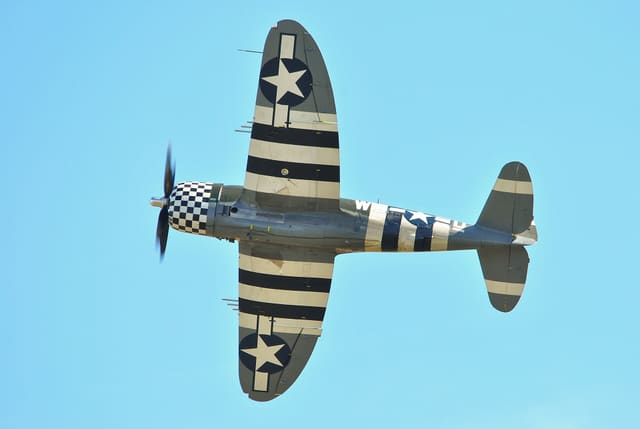  - Warbird