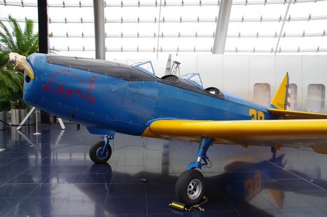 N50429 - Single-engine aircraft